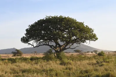 DSC_3768 (Large).JPG